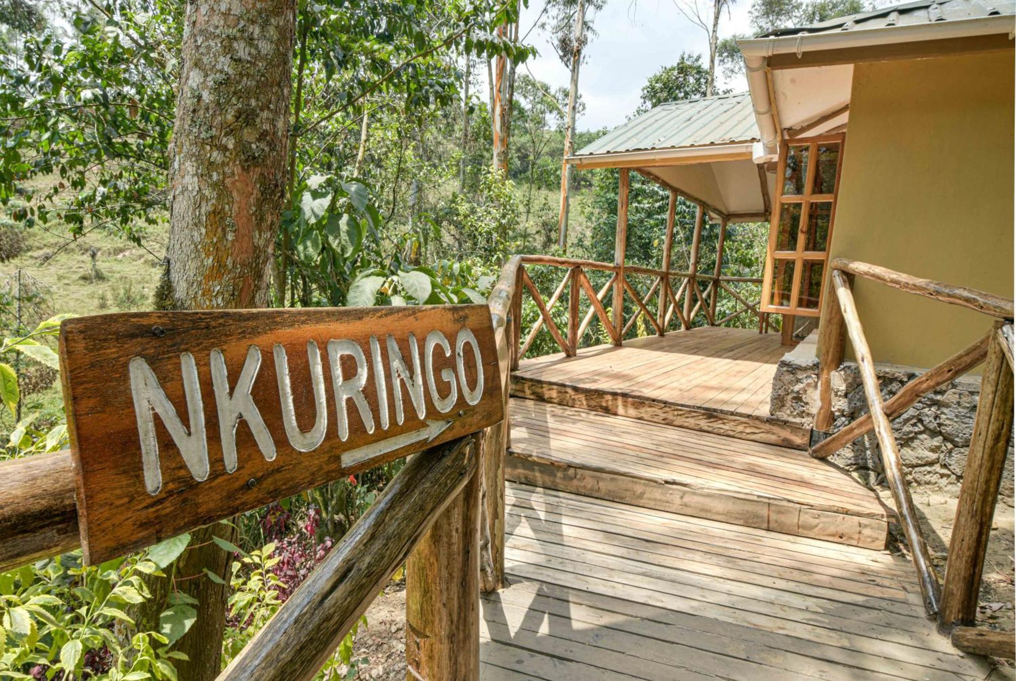 Gorilla Safari Lodge Rubuguli エクステリア 写真
