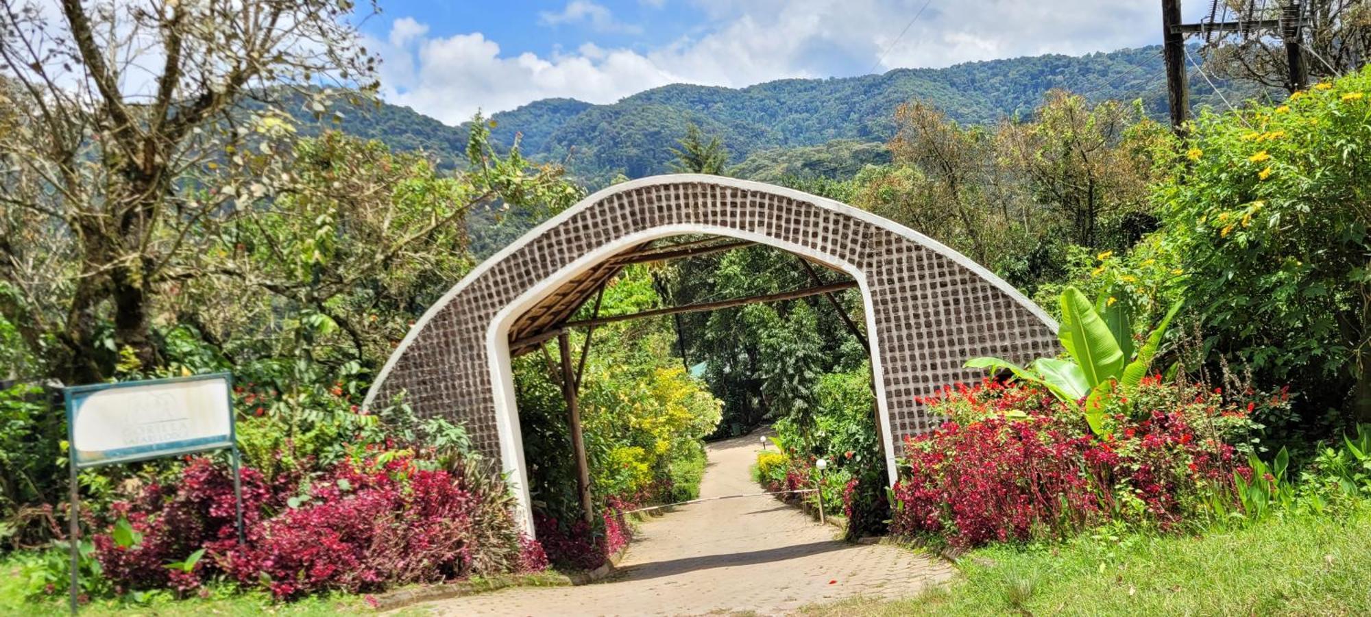Gorilla Safari Lodge Rubuguli エクステリア 写真