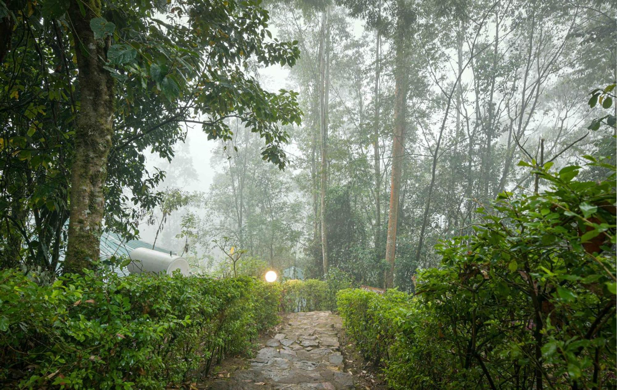 Gorilla Safari Lodge Rubuguli エクステリア 写真