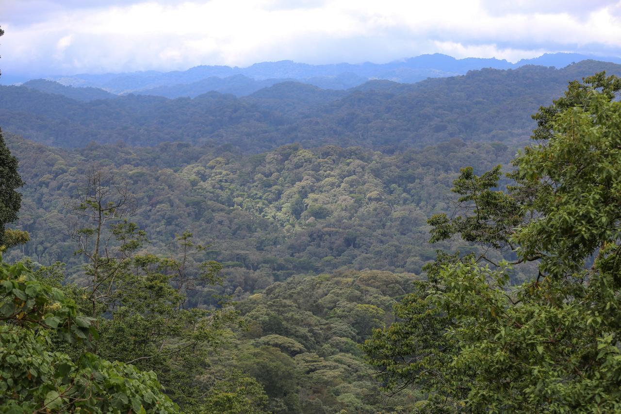 Gorilla Safari Lodge Rubuguli エクステリア 写真