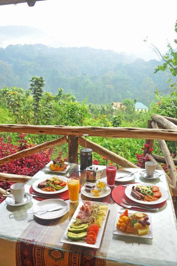 Gorilla Safari Lodge Rubuguli エクステリア 写真