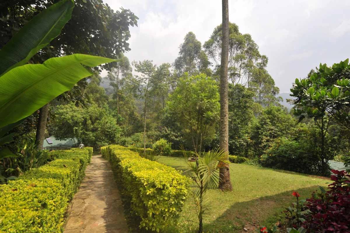 Gorilla Safari Lodge Rubuguli エクステリア 写真